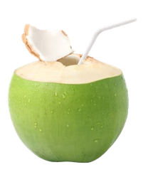 Fresh Coconut